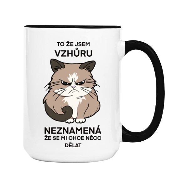 Kočka - ranní nechuť